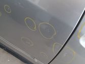 Rear door