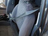 Front seatbelt
