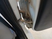 Rear door check strap stopper