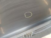 Engine bonnet/hood