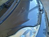 Engine bonnet/hood