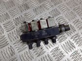 LP gas injector