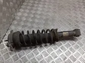 Rear shock absorber/damper