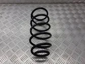 Rear coil spring