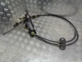 Gearbox retarder lever