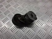 Alternator belt tensioner pulley