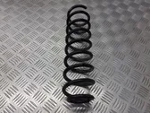 Rear coil spring