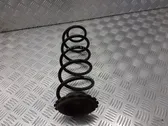 Rear coil spring