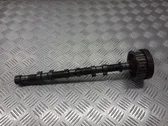 Balance shaft