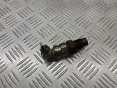 Fuel pressure regulator