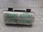 Beifahrerairbag
