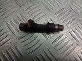 Juego de inyectores de combustible