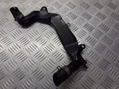 Žarna (-os)/ vamzdis (-džiai)