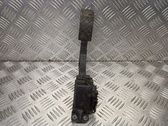 Kaasupoljin