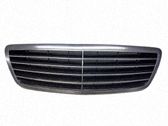 Ziergitter Motorhaube