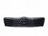 Ziergitter Motorhaube