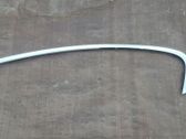 Rear door glass trim molding