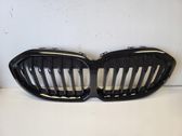 Maskownica / Grill / Atrapa górna chłodnicy