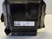 Engine control unit/module ECU