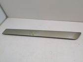 Sliding door trim (molding)