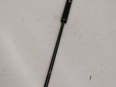 Tailgate/trunk strut/damper