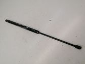 Tailgate/trunk strut/damper