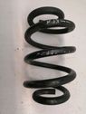 Front coil spring