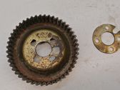 Fuel pump gear (pulley)