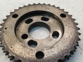 Engranaje de la bomba de combustible (polea)