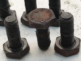 Flywheel bolts