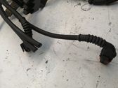 Faisceau de câblage pour moteur