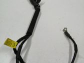 Wires (starter motor)