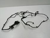 Front door wiring loom