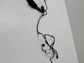 Rear door wiring loom