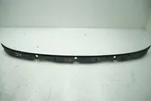 Windshield trim