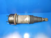 Air suspension rear shock absorber