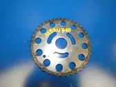 Timing chain sprocket