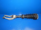 Front shock absorber with coil spring