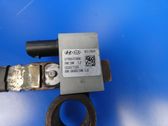 Negative earth cable (battery)