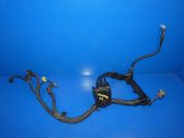 Positive wiring loom