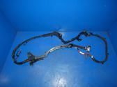 Other wiring loom
