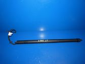 Tailgate/trunk strut/damper