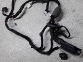Rear door wiring loom