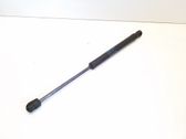 Tailgate/trunk strut/damper