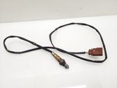 Sonde lambda