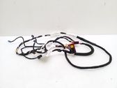 Other wiring loom