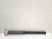 Rear shock absorber/damper