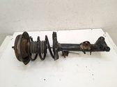 Front shock absorber with coil spring