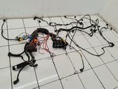 Other wiring loom