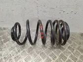 Rear coil spring